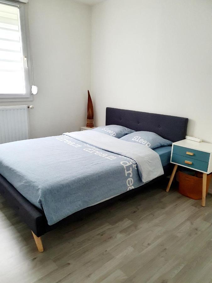 Bel Appartement Cosy Страсбург Экстерьер фото